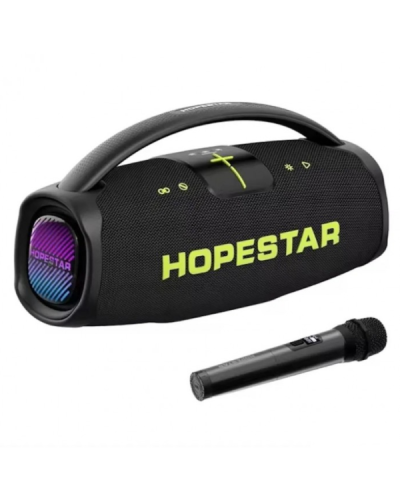 Колонка Hopestar A65 с микрофоном (4)