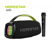 Колонка Hopestar A40 70W (з мікрофоном) (8)