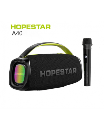 Колонка Hopestar A40 70W (з мікрофоном) (8)