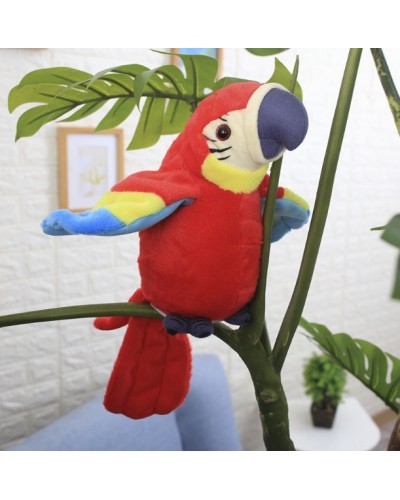 Папуга повторюваний Parrot Talking