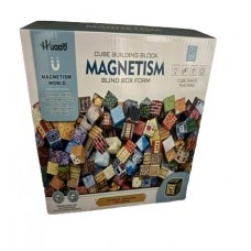 Детский магнитный конструктор Magnetism World T36 (60)