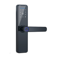 Комбинированный дверной замок SMART TUYA (сенсор + код), модель 5323 (10)