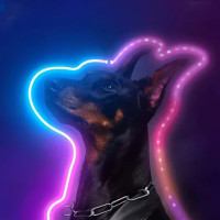 Смарт гнучка LED RGB лента 5 м — неоновий шланг для декоративного підсвічування дому, офісу та святкових інтер’єрів