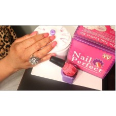 Набор для создания маникюра Nail Perfect