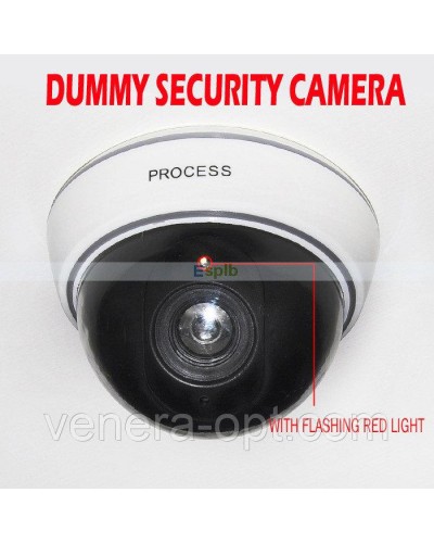 Муляж камеры dummy camera process